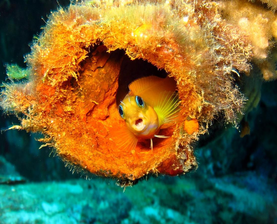 Sakatia Lodge Ampasimena Dış mekan fotoğraf