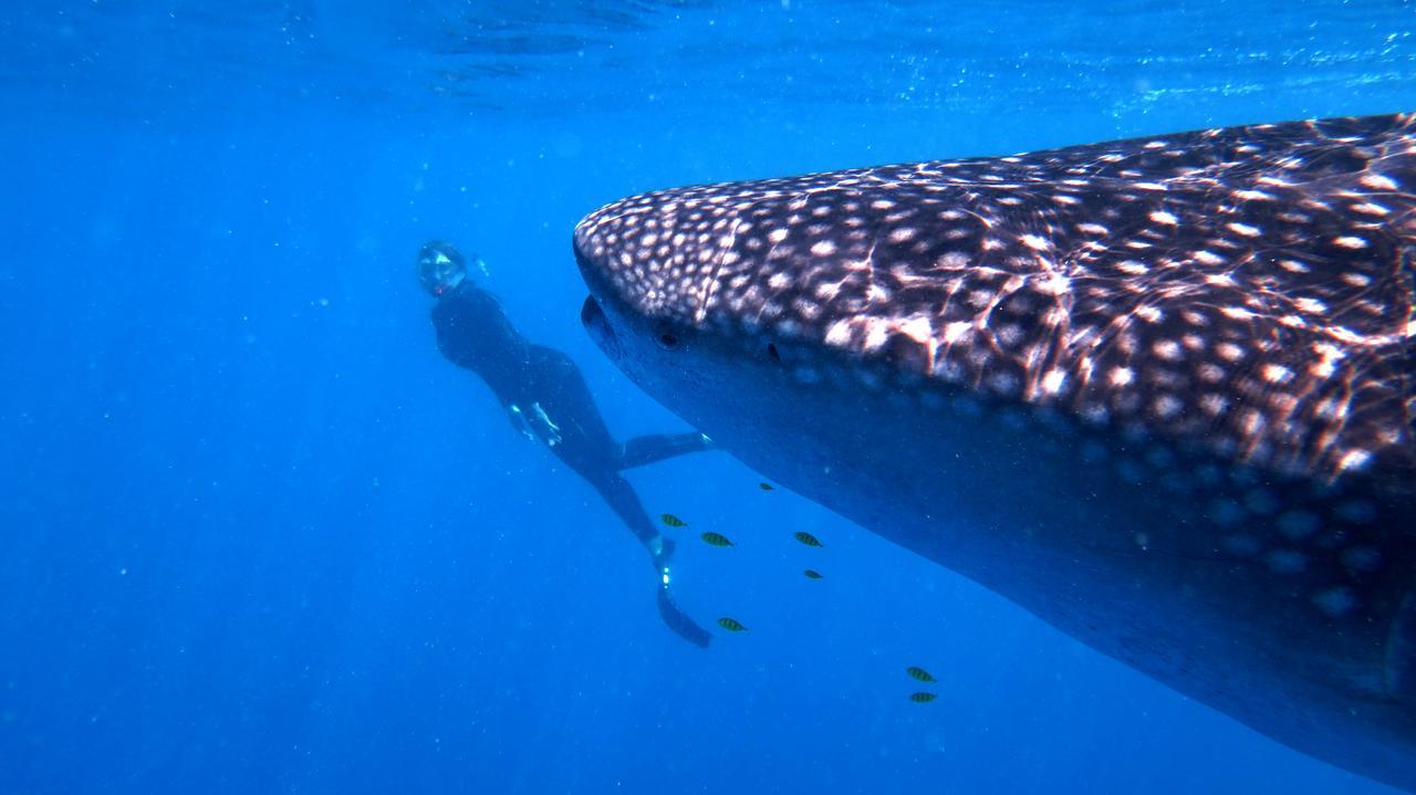 Sakatia Lodge Ampasimena Dış mekan fotoğraf