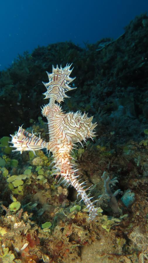 Sakatia Lodge Ampasimena Dış mekan fotoğraf