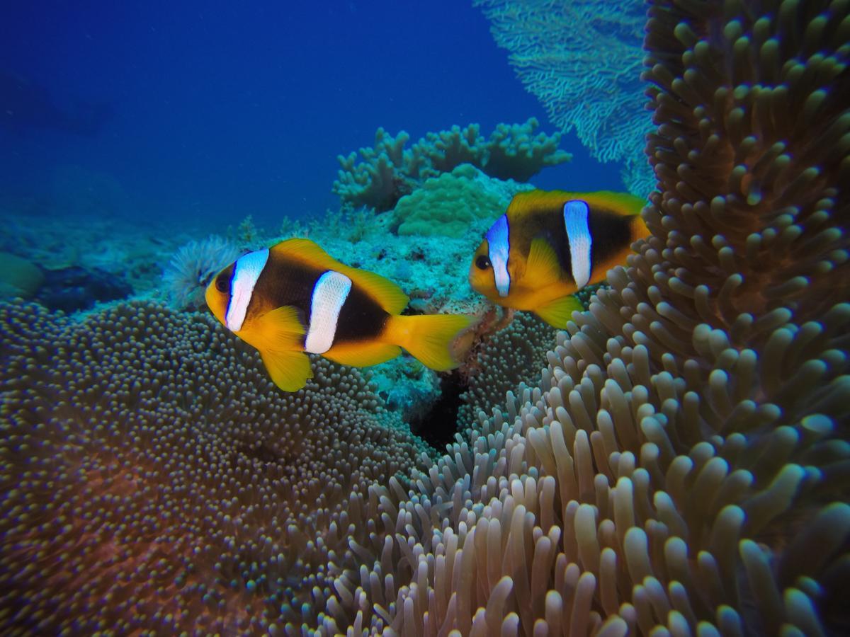 Sakatia Lodge Ampasimena Dış mekan fotoğraf