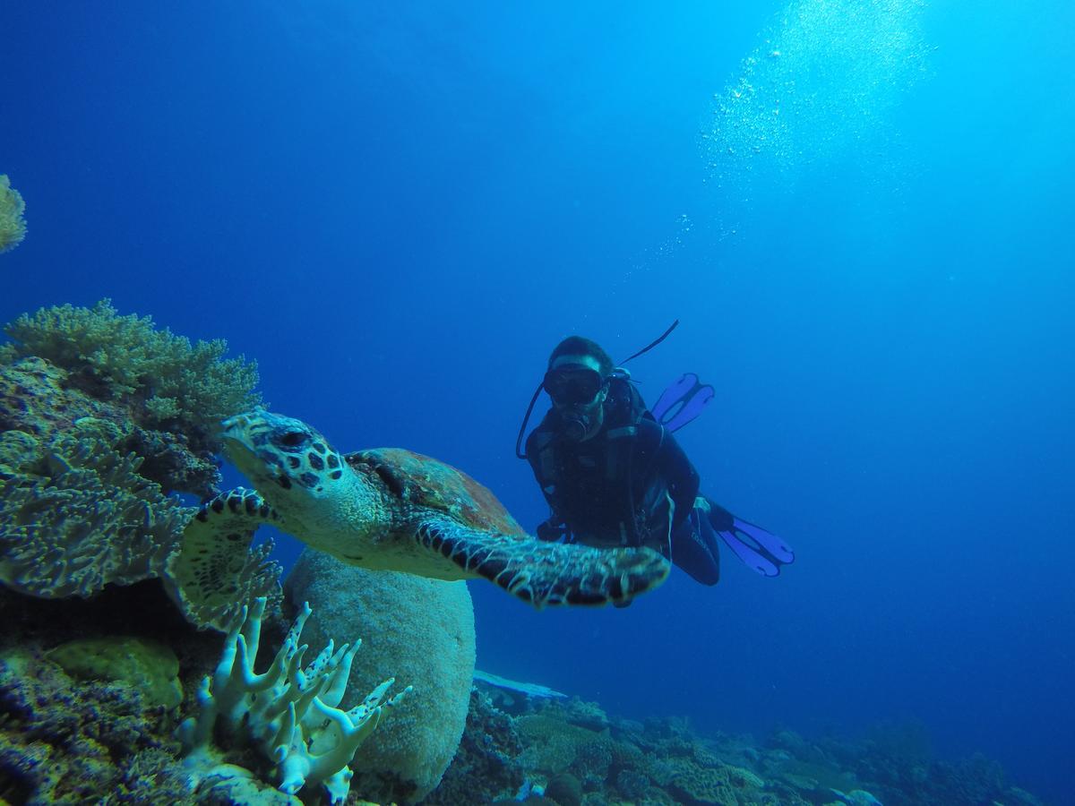 Sakatia Lodge Ampasimena Dış mekan fotoğraf